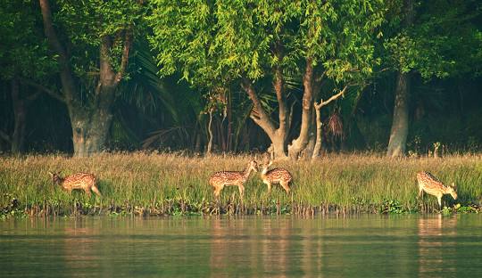 ইভেন্ট ৫: স্কুল ভর্তি পরীক্ষার তারিখ